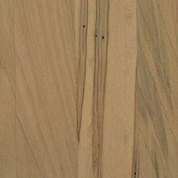 Wormy Maple - PCL Sand (D22N10202)